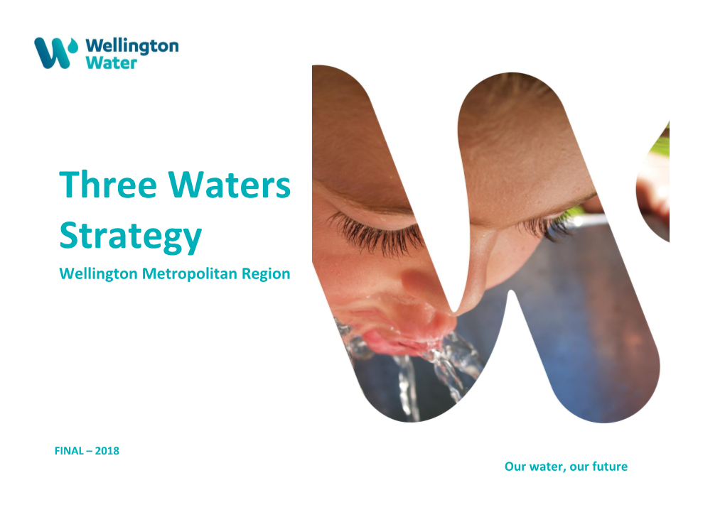 Three Waters Strategy Wellington Metropolitan Region