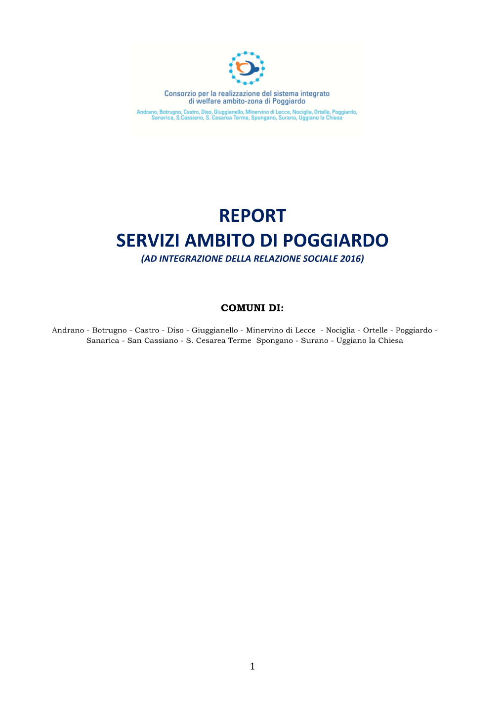 Report Servizi D'ambito