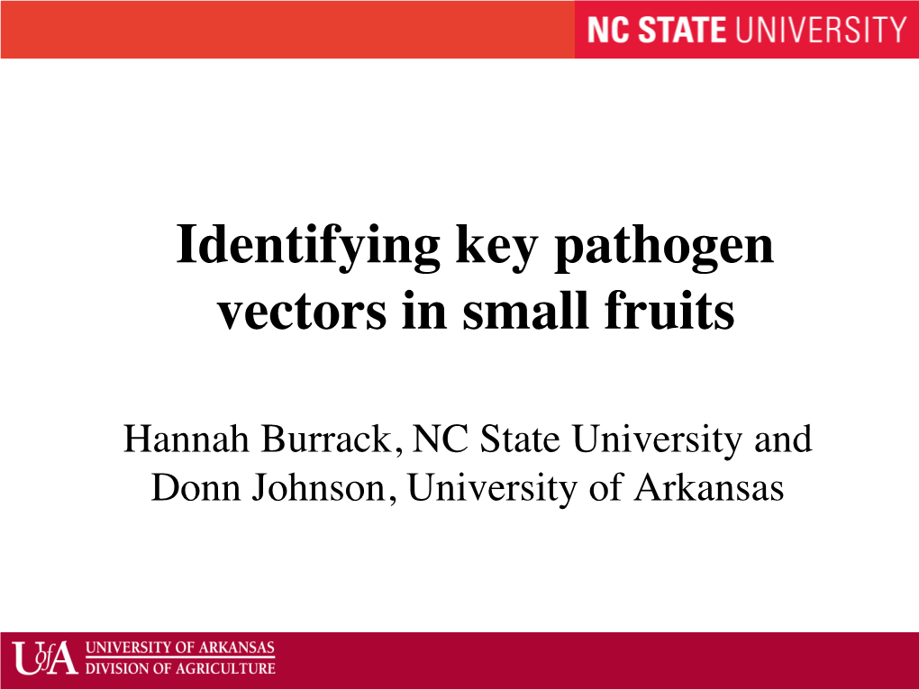 Identifying Key Pathogen Vectors in Small Fruits