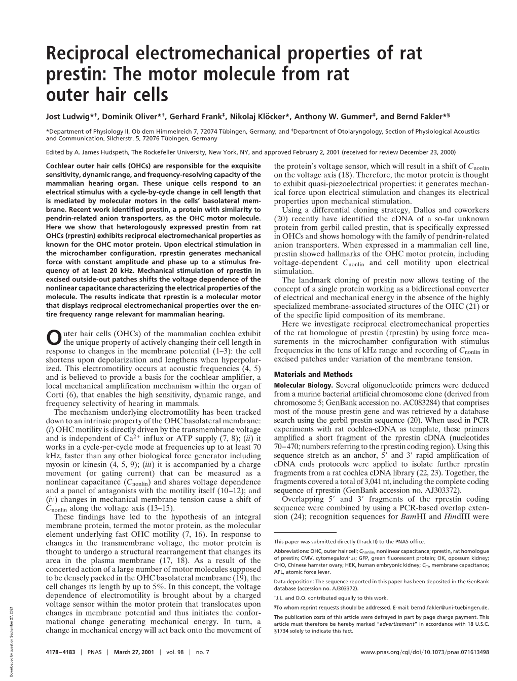 Reciprocal Electromechanical Properties of Rat Prestin: the Motor Molecule from Rat Outer Hair Cells