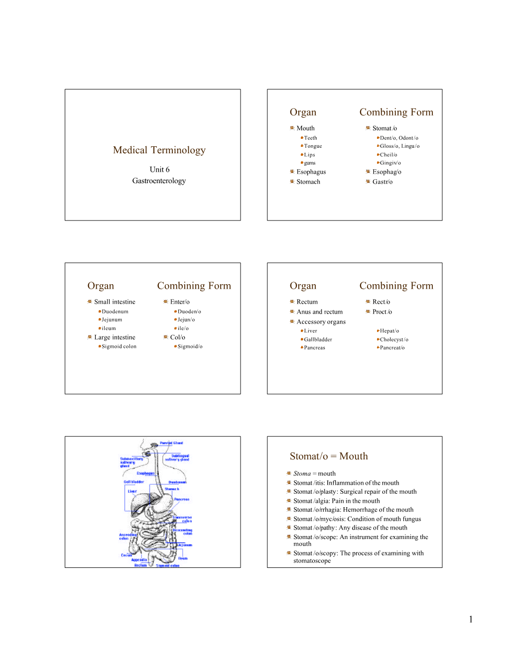 Medical Terminology Organ Combining Form Organ Combining