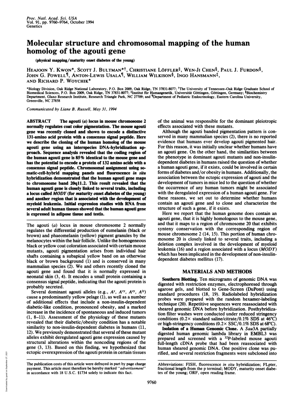 Homolog of the Agouti Gene (Physical Mapping/Maturity Onset Diabetes of the Young) HEAJOON Y