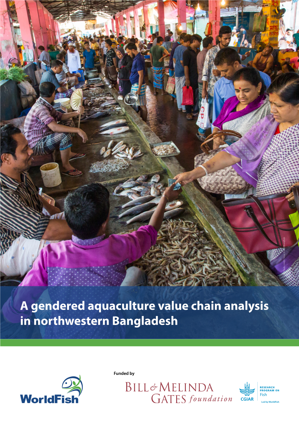 Download a Gendered Aquaculture Value Chain Analysis In