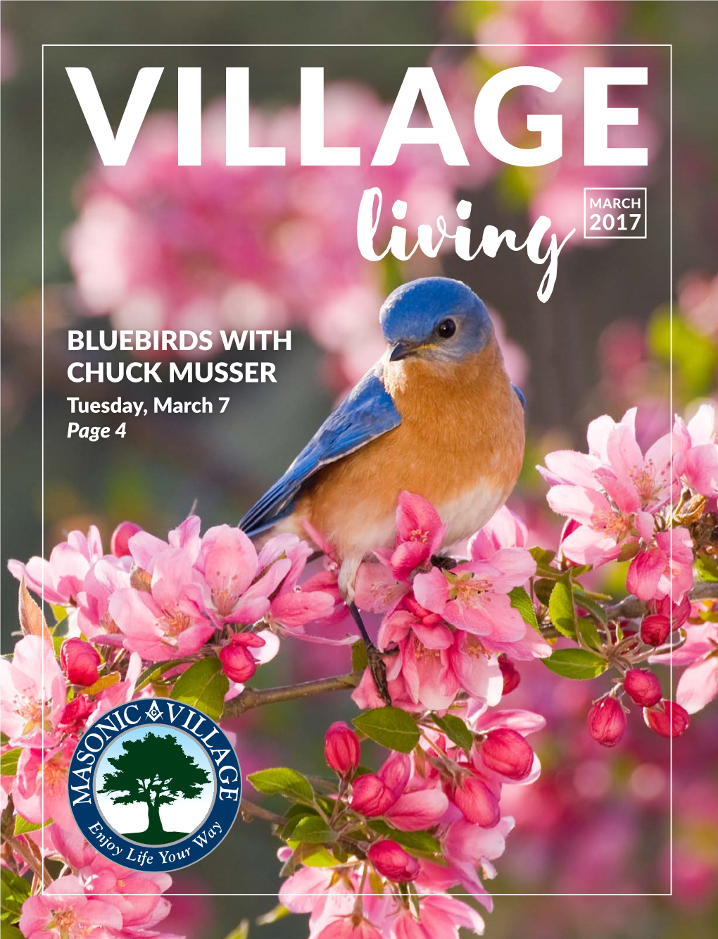 BLUEBIRDS with CHUCK MUSSER Tuesday, March 7 Page 4 P
