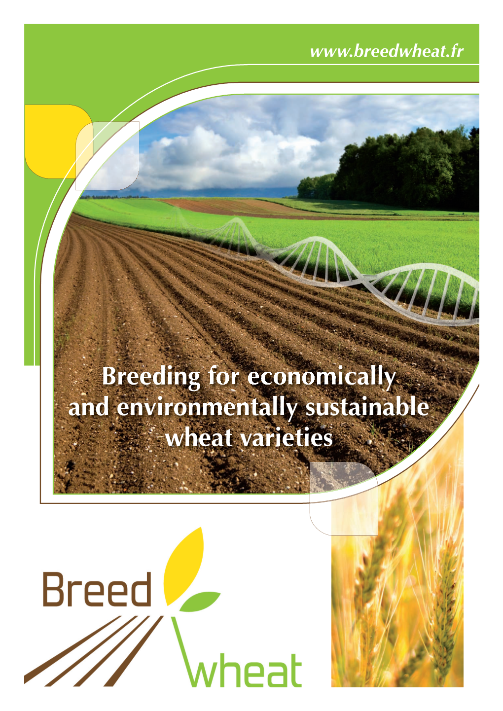 Breeding for Economically and Environmentally Sustainable Wheat