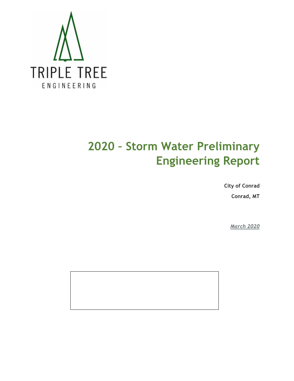 2020 – Storm Water Preliminary Engineering Report