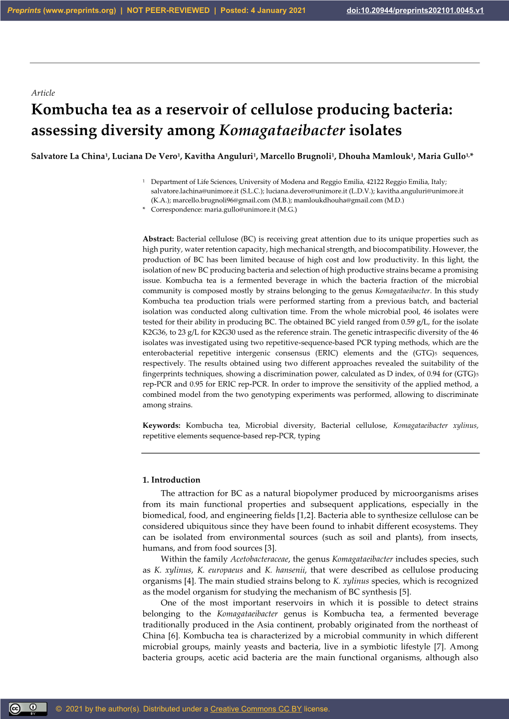 Kombucha Tea As a Reservoir of Cellulose Producing Bacteria: Assessing Diversity Among Komagataeibacter Isolates