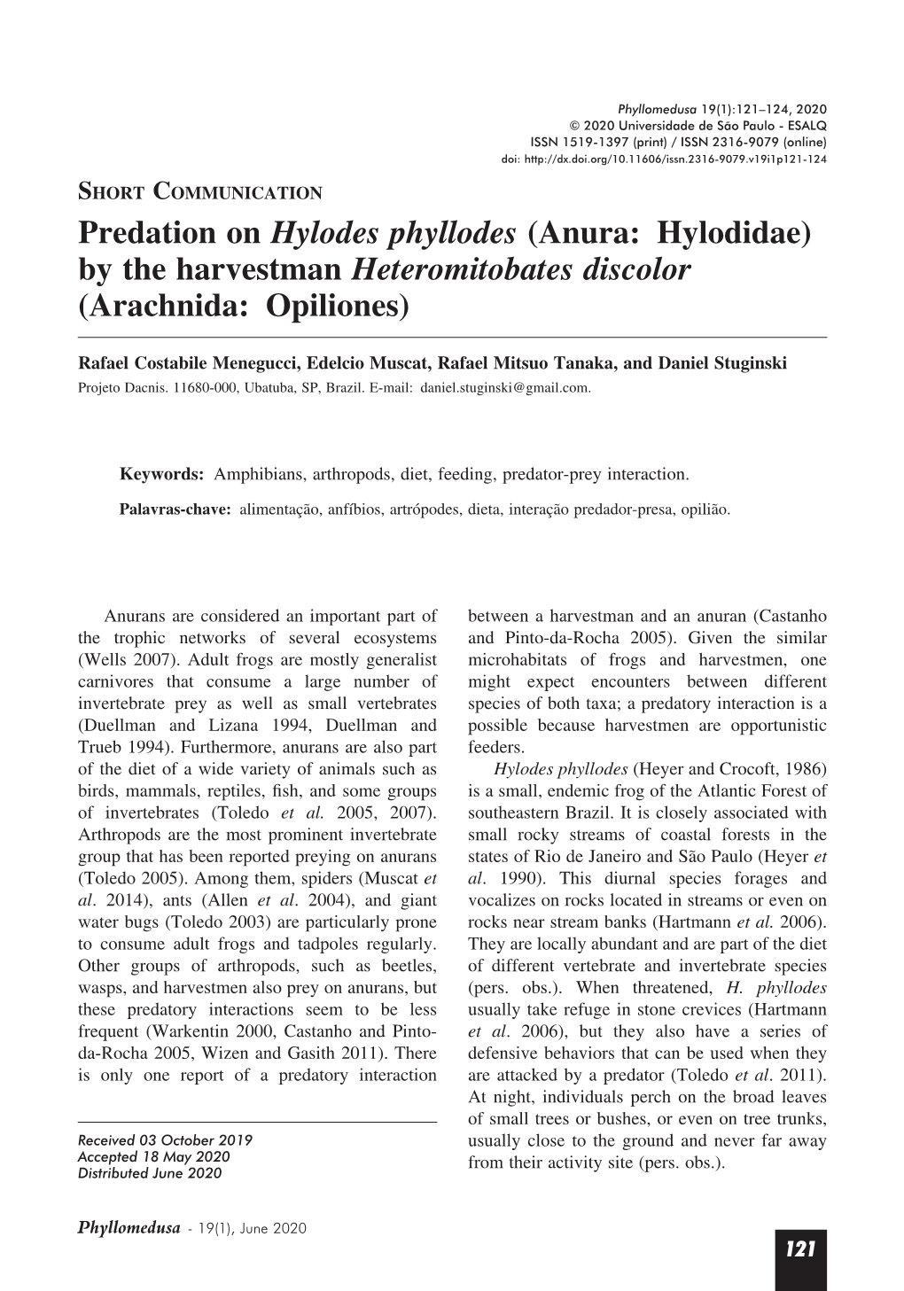 Predation on Hylodes Phyllodes (Anura: Hylodidae) by the Harvestman Heteromitobates Discolor (Arachnida: Opiliones)