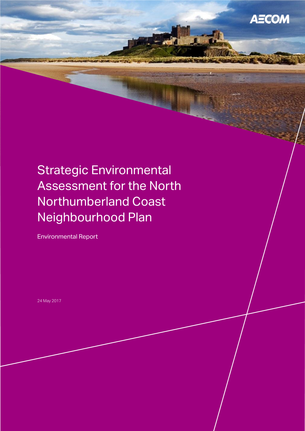 NN Coast SEA Environmental Report