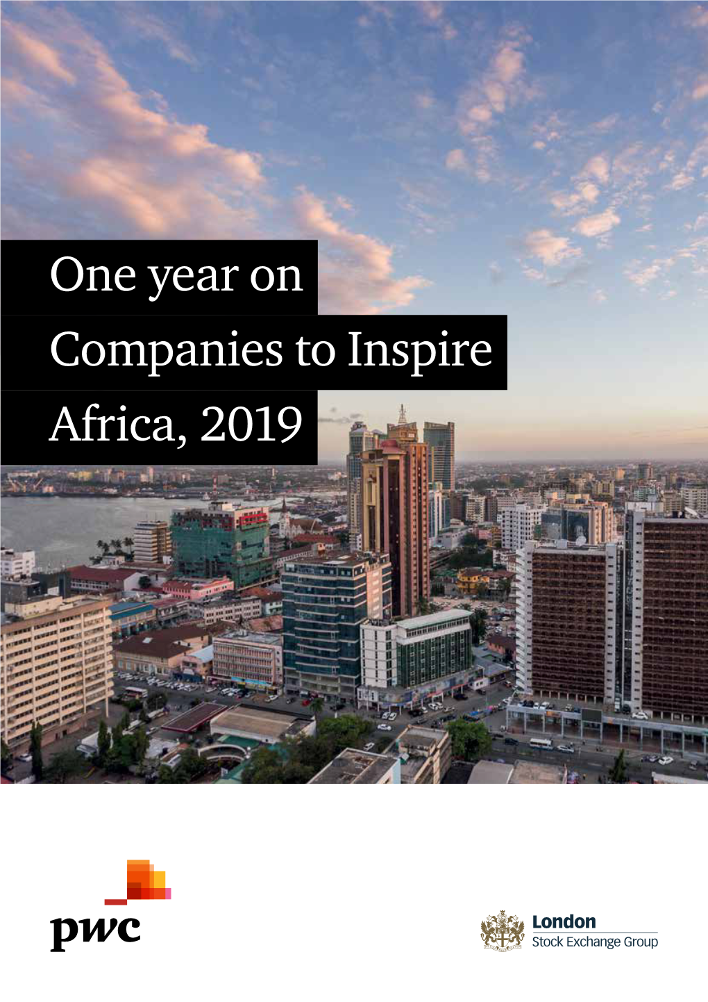 One Year on Companies to Inspire Africa, 2019 Contents