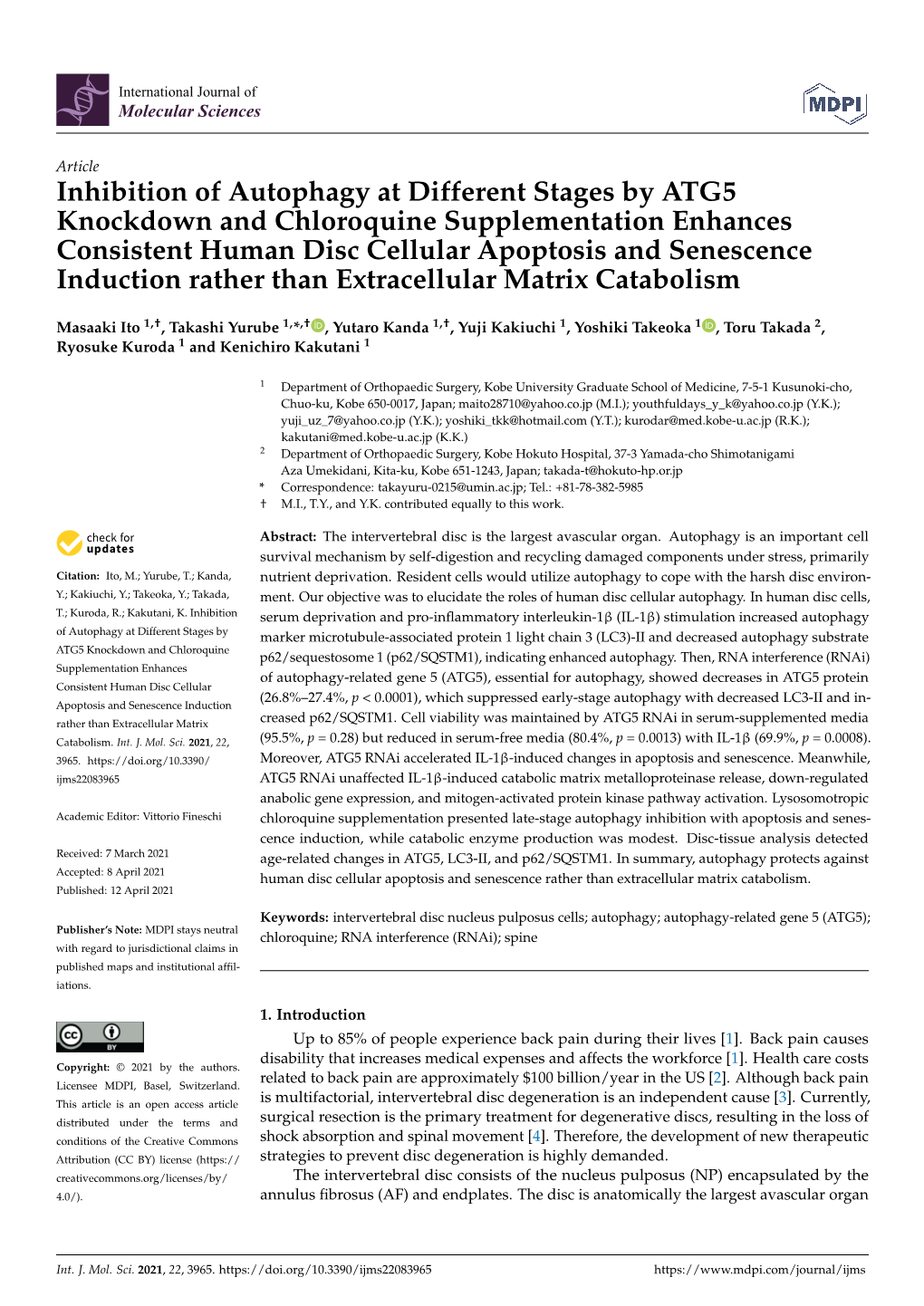 Inhibition of Autophagy at Different Stages by ATG5 Knockdown And