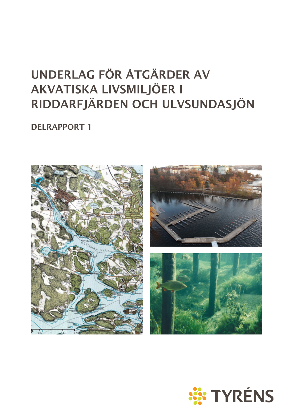 Underlag För Åtgärder Av Akvatiska Livsmiljöer I Riddarfjärden Och Ulvsundasjön