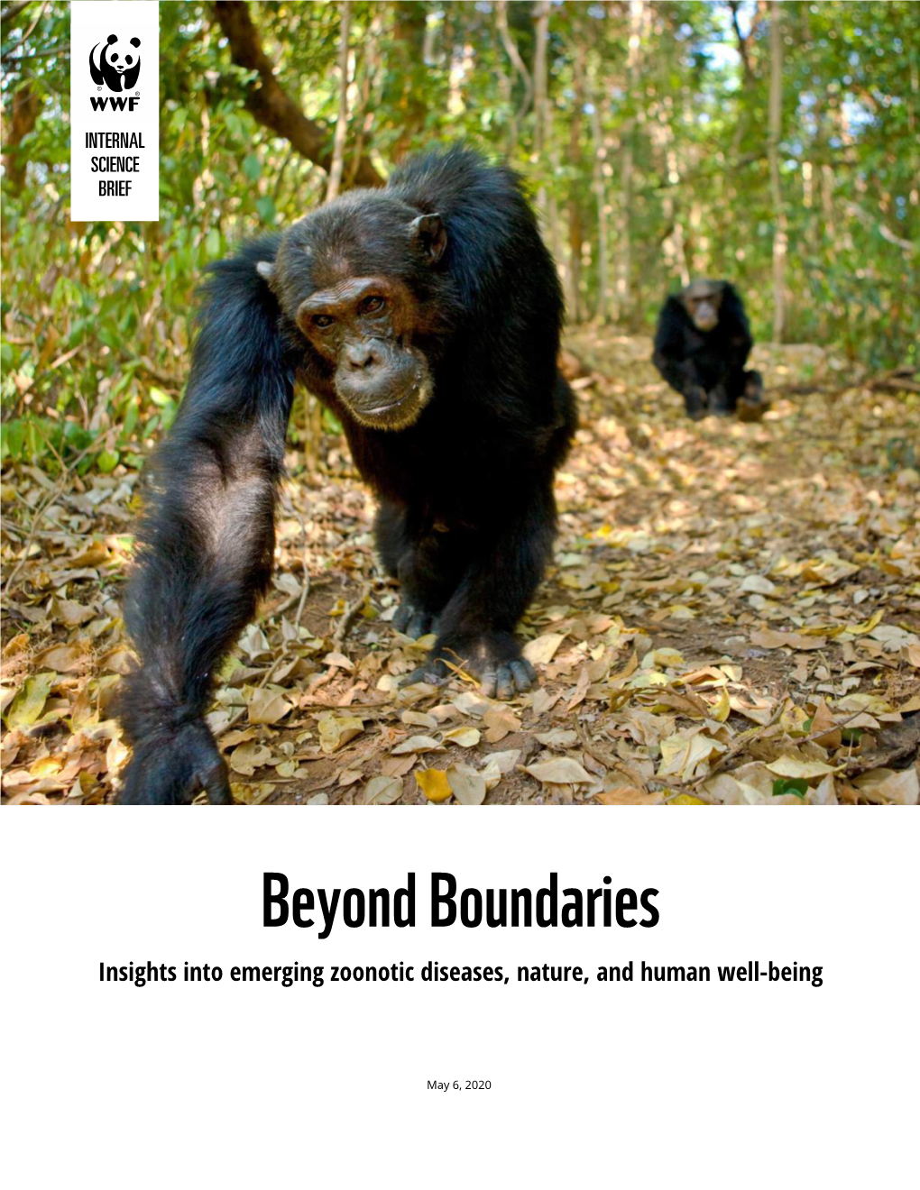 Beyond Boundaries: Insights Into Emerging Zoonotic Diseases, Nature, and Human Well-Being