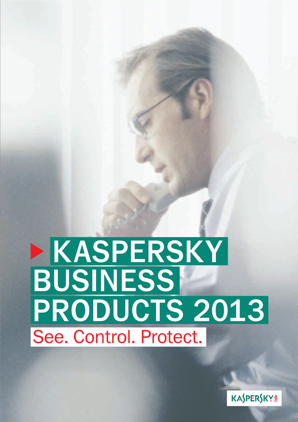 Kaspersky Business Products 2013 See