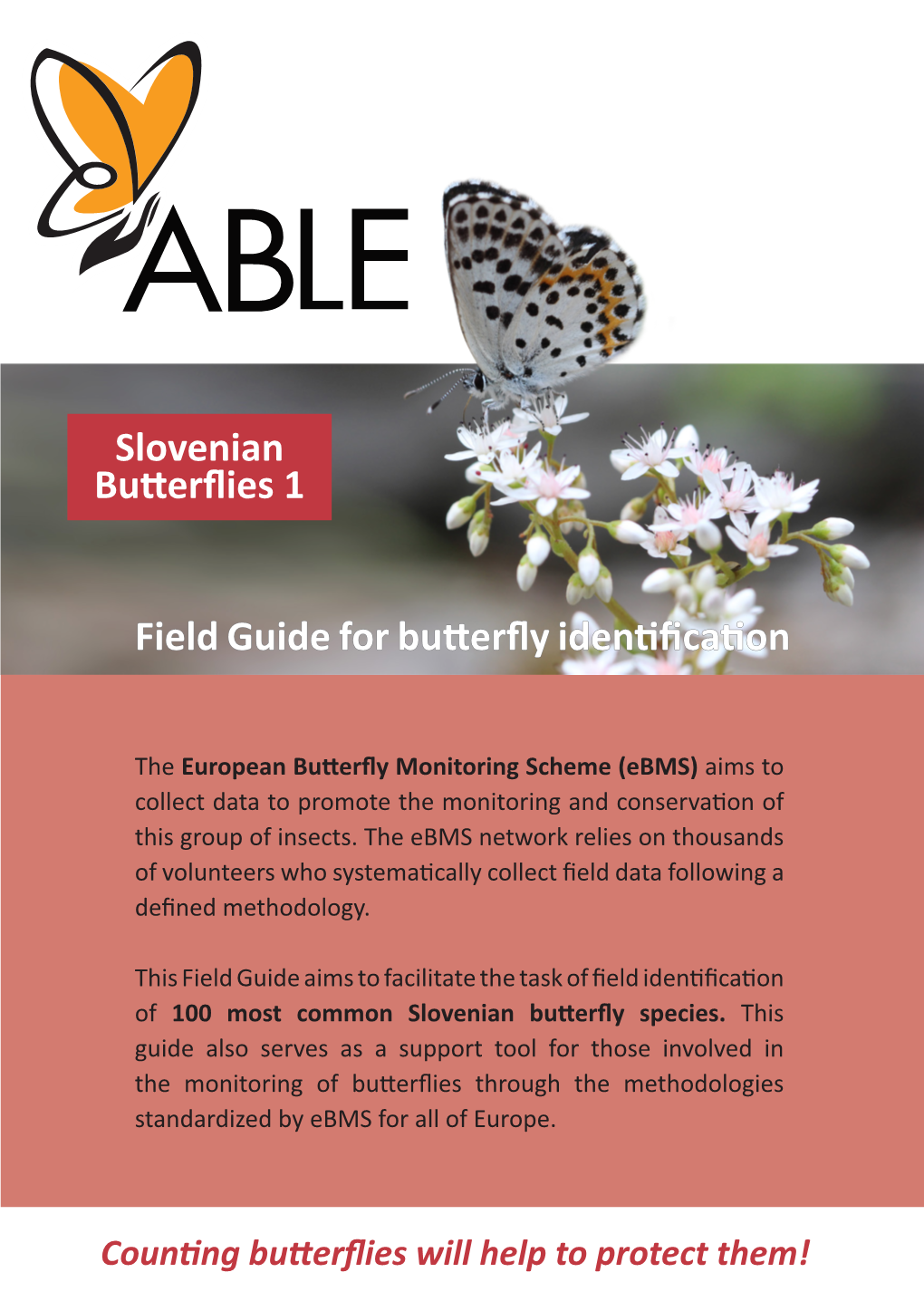 Field Guide for Butterfly Identification Slovenian Butterflies 1