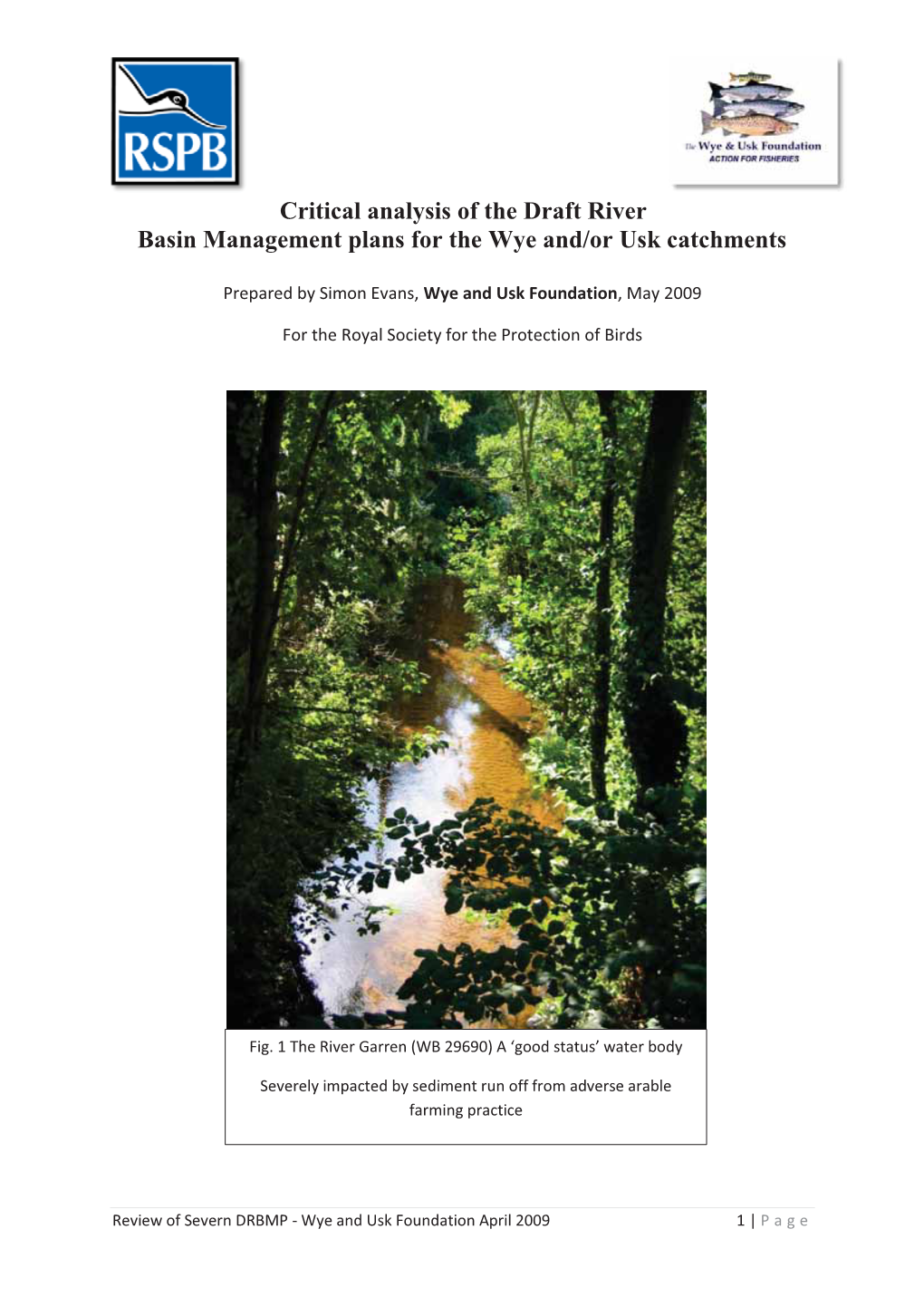 Critical Analysis of the Draft River Basin Management Plans for the Wye And/Or Usk Catchments