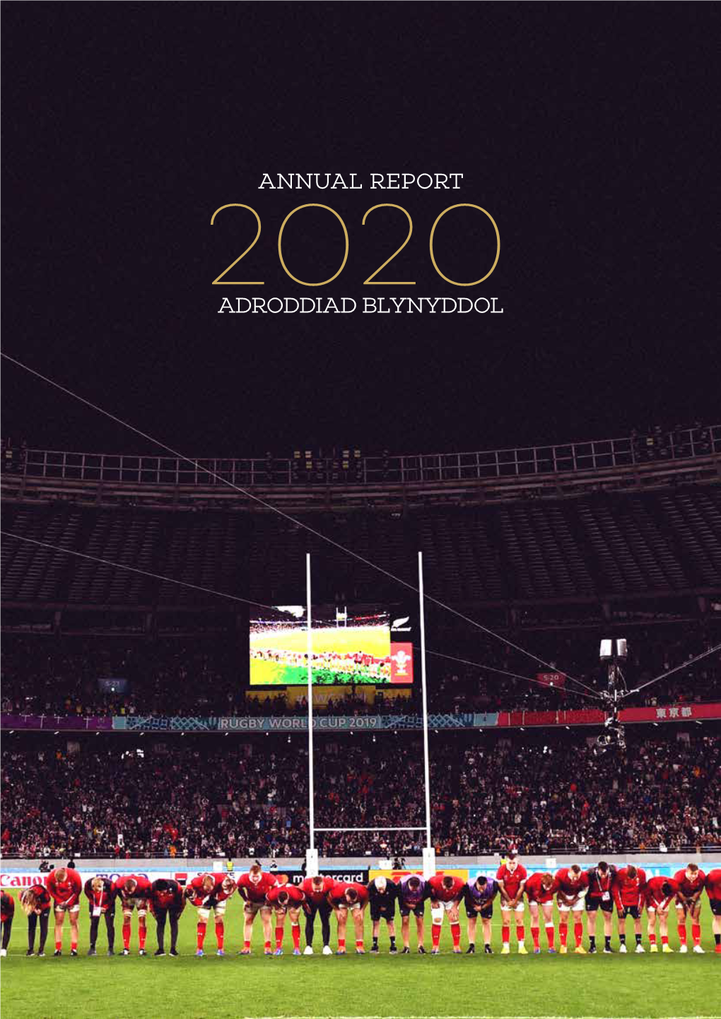 Annual Report Adroddiad Blynyddol