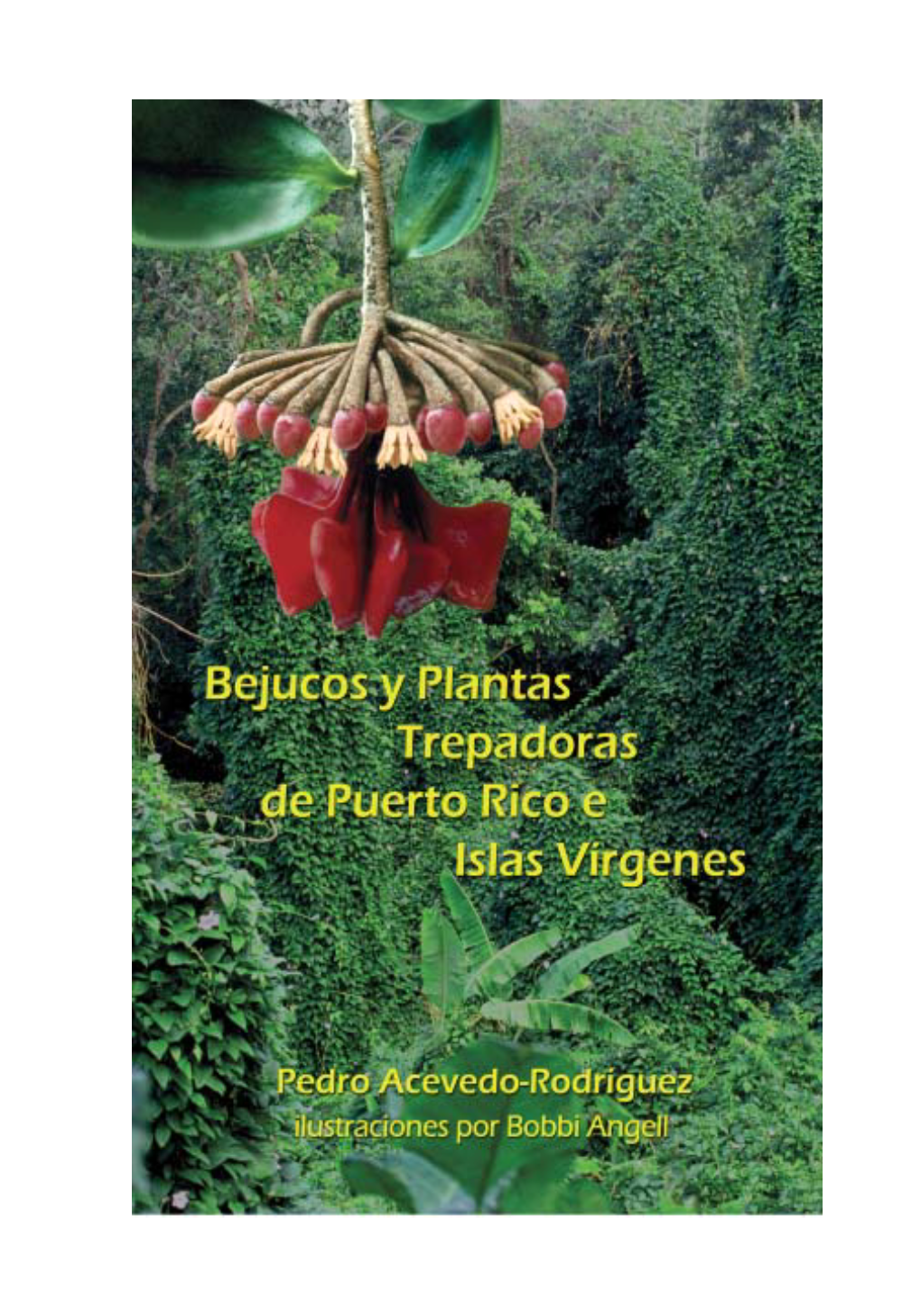 Bejucos Y Plantas Trepadoras De Puerto Rico E Islas Vírgenes/ Pedro Acevedo-Rodríguez; Illustrated by Bobbi Angell
