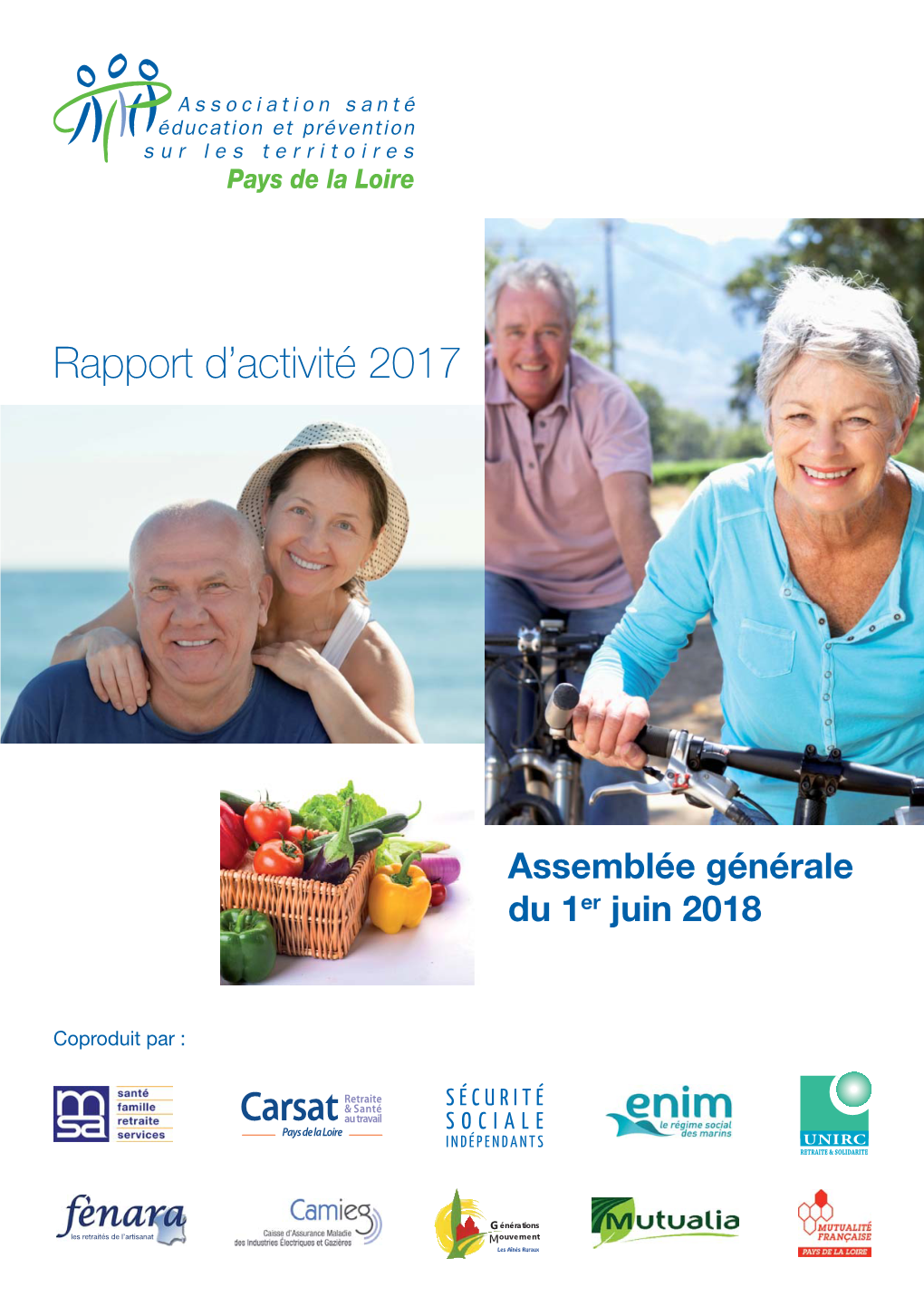 Rapport D'activité 2017