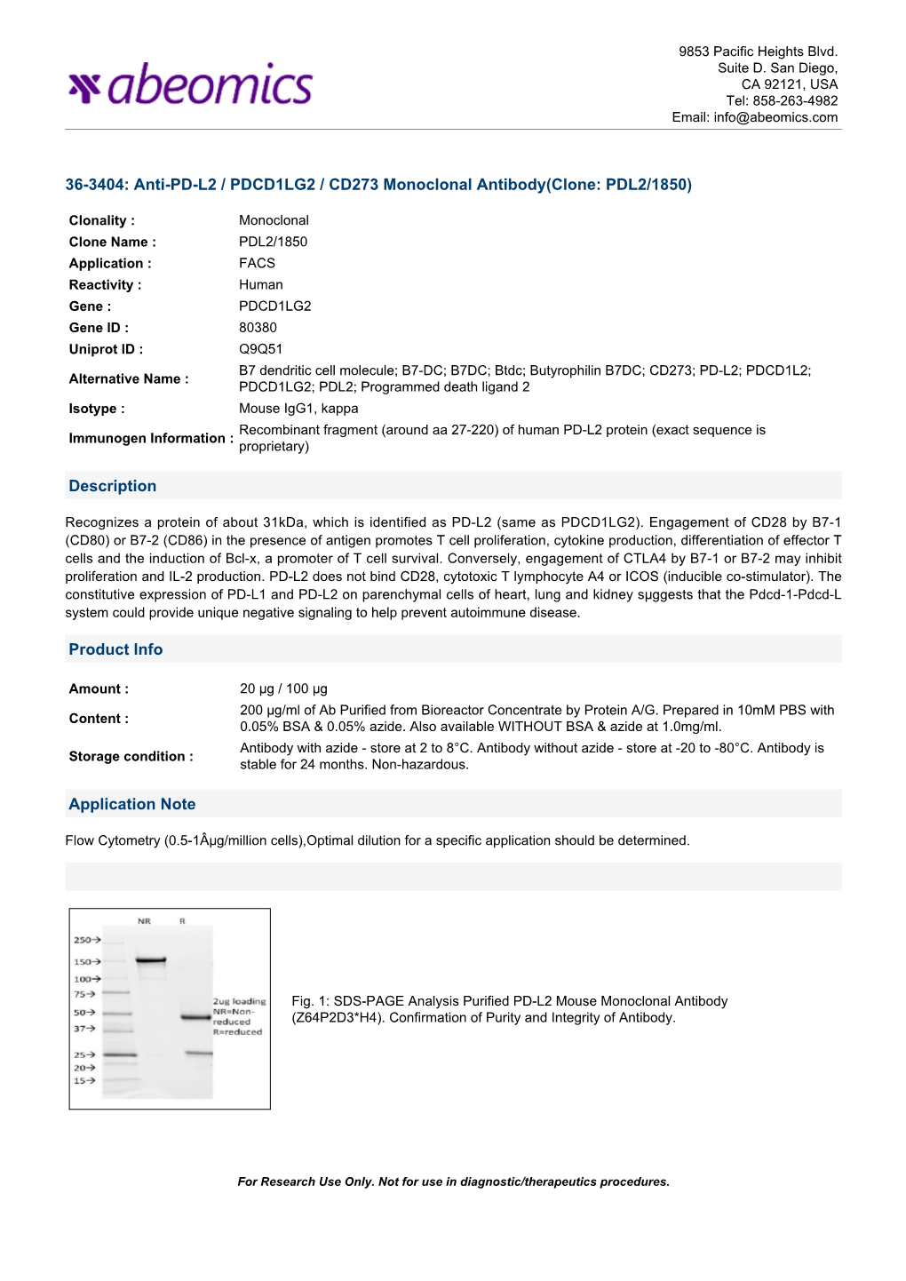 36-3404: Anti-PD-L2 / PDCD1LG2 / CD273 Monoclonal Antibody(Clone: PDL2/1850)