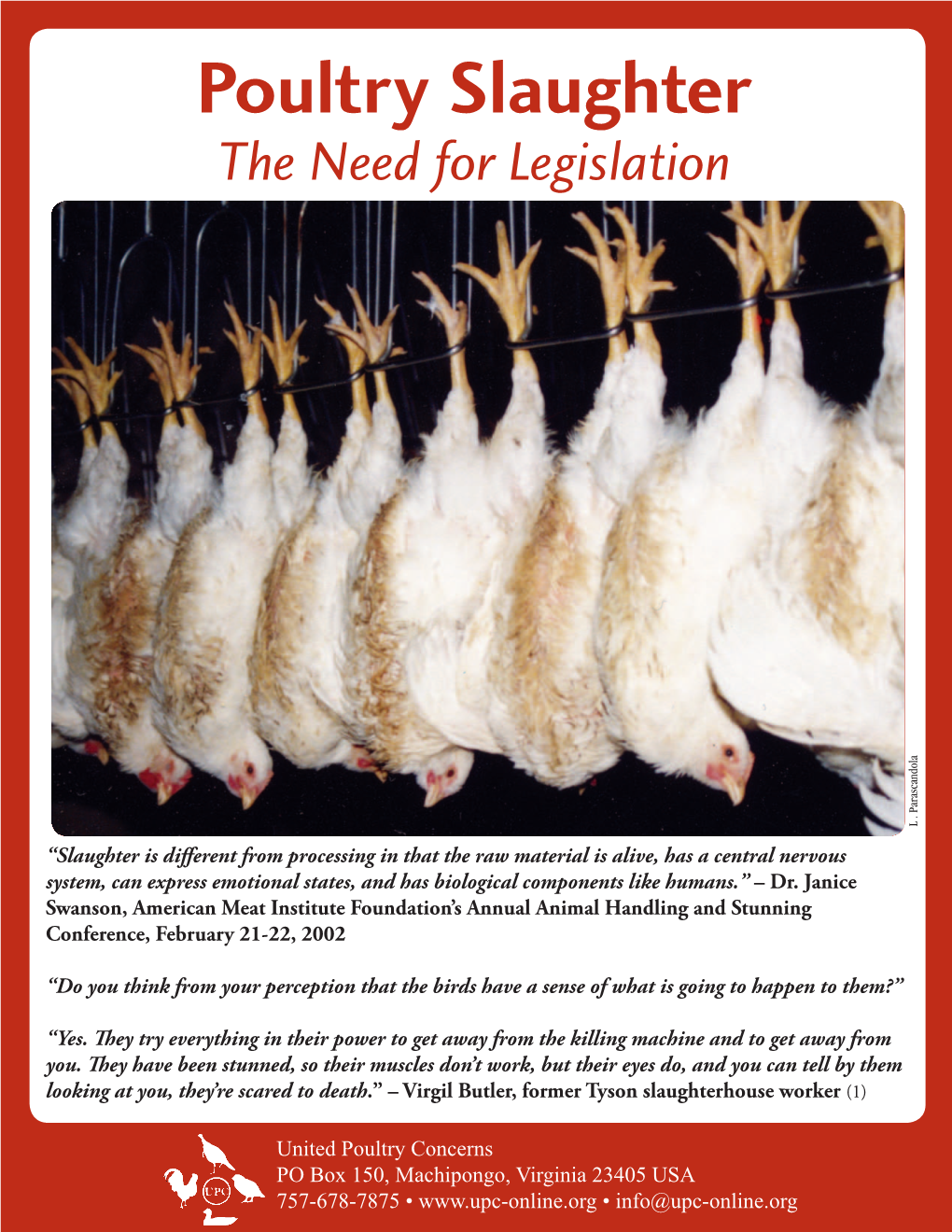 Poultry Slaughter: the Need for Legislation