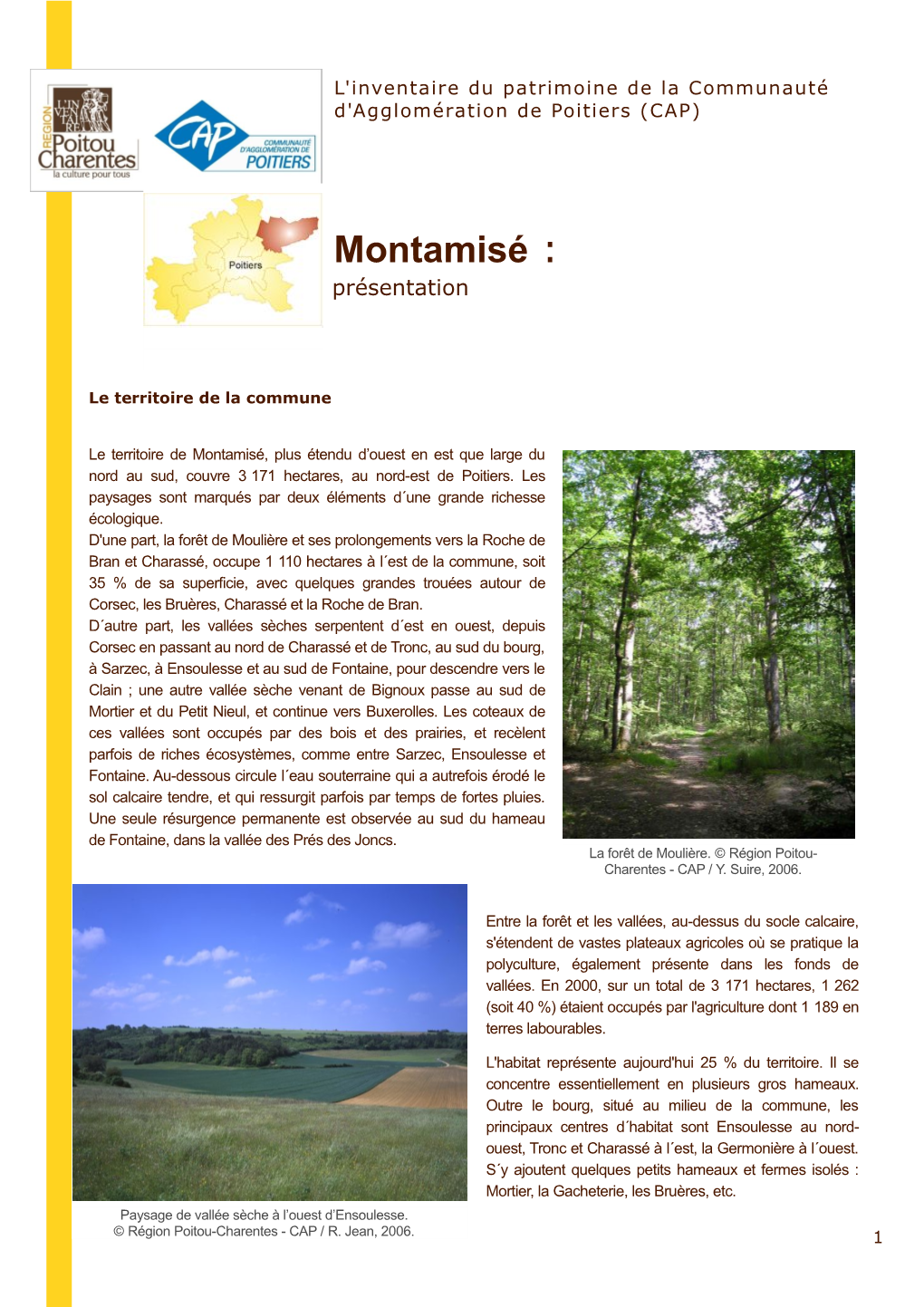 Montamisé : Présentation