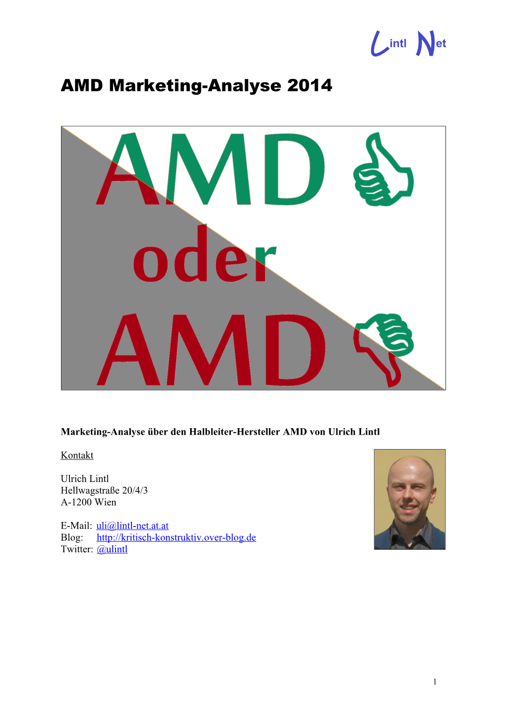 Marketing-Analyse AMD 2014