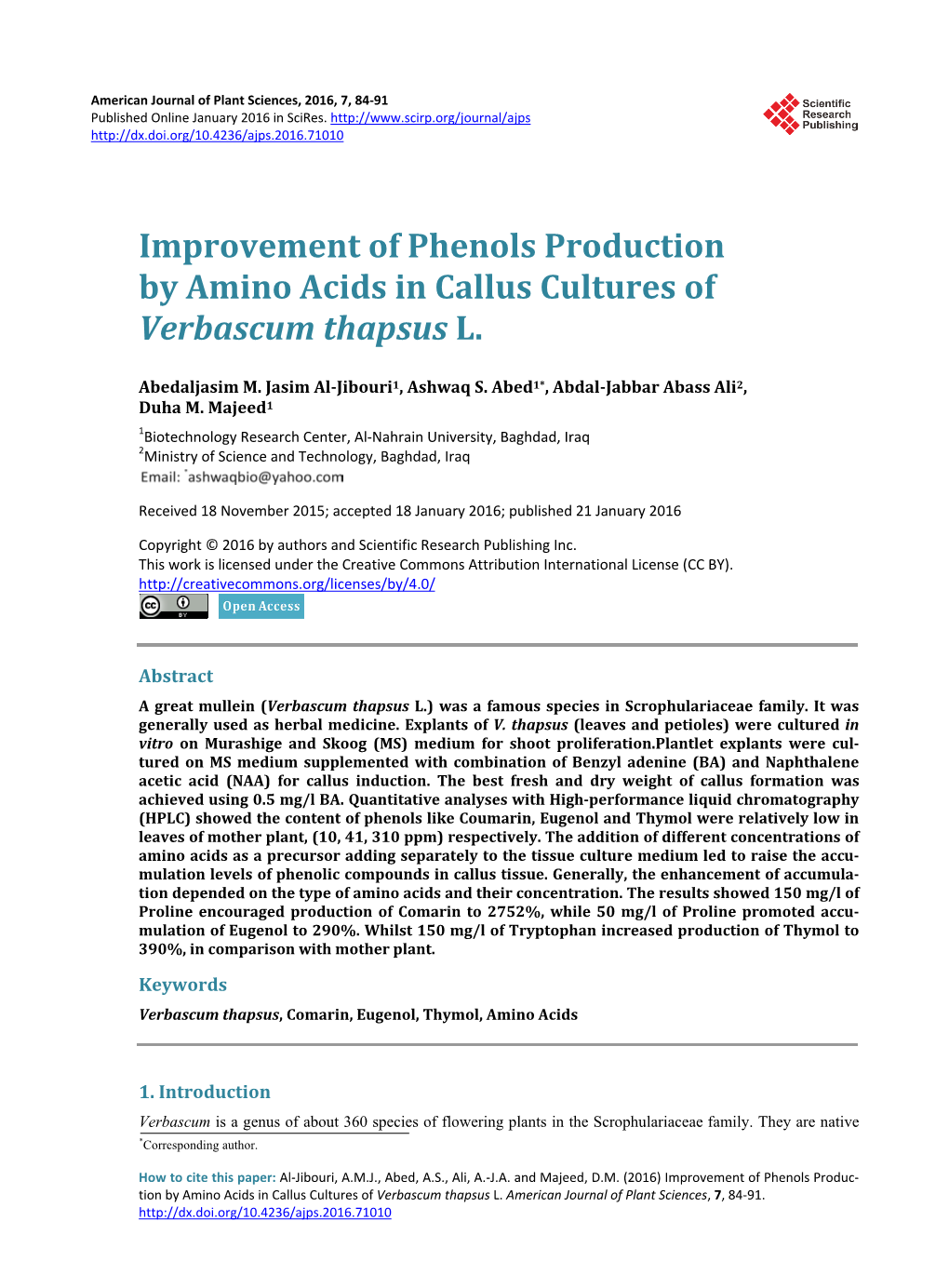 Improvement of Phenols Production by Amino Acids in Callus Cultures of Verbascum Thapsus L