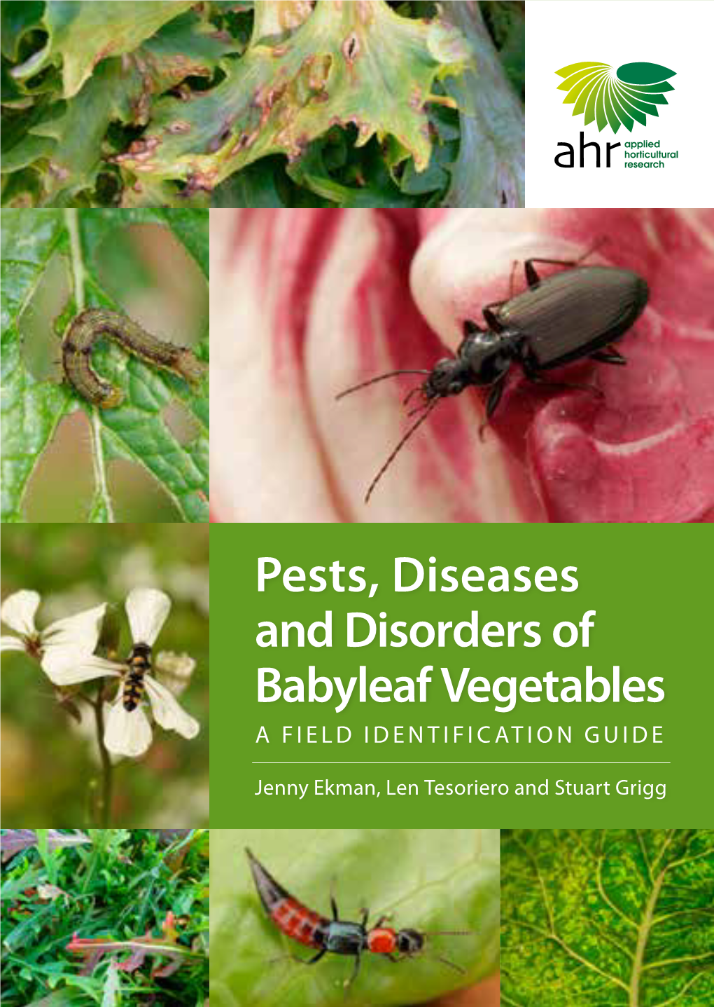 Pests, Diseases and Disorders of Babyleaf Vegetables a FIELD IDENTIFICATION GUIDE