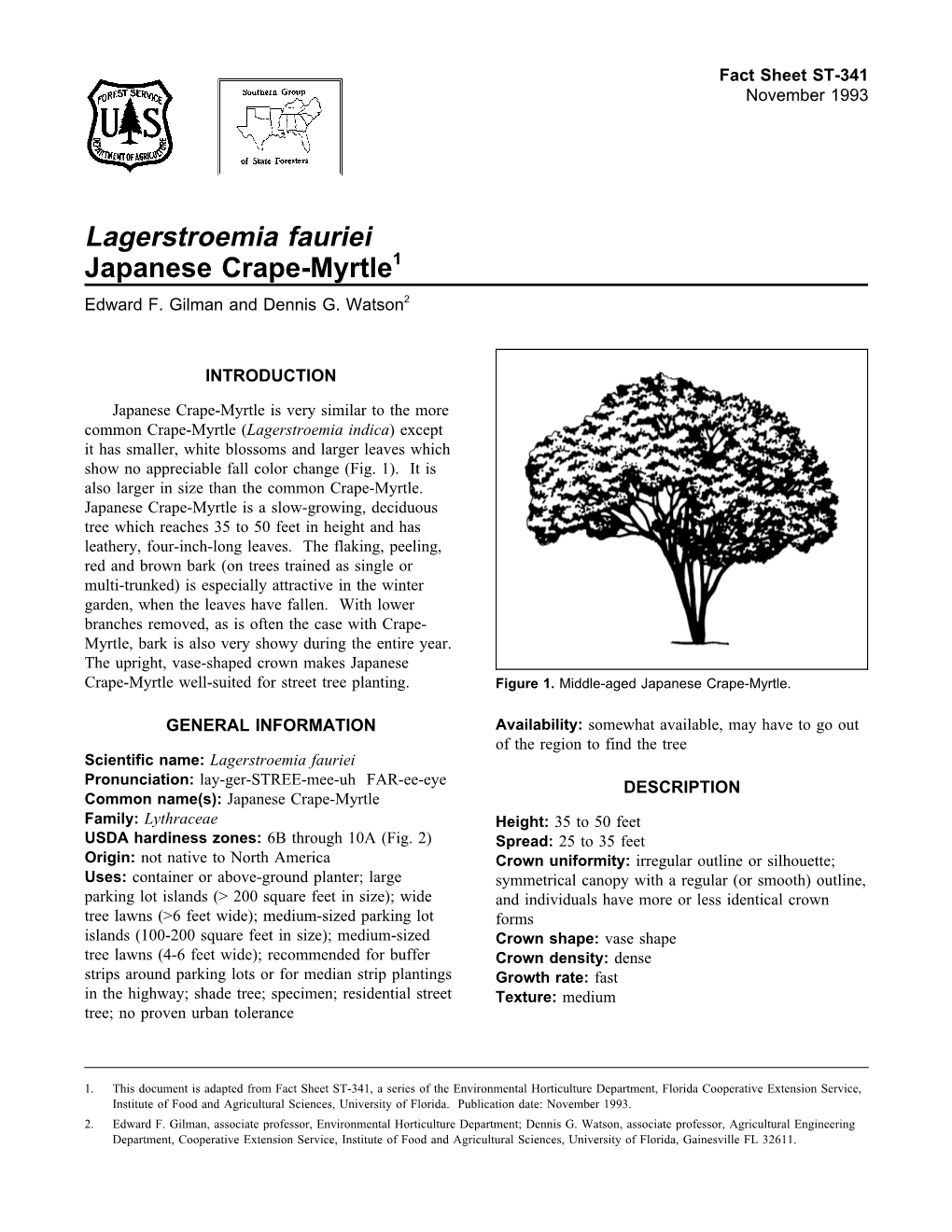 Lagerstroemia Fauriei Japanese Crape-Myrtle1 Edward F