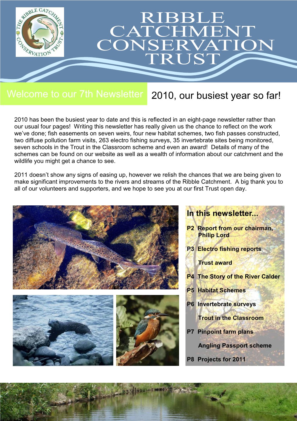 Newsletter 2010, Our Busiest Year So Far!