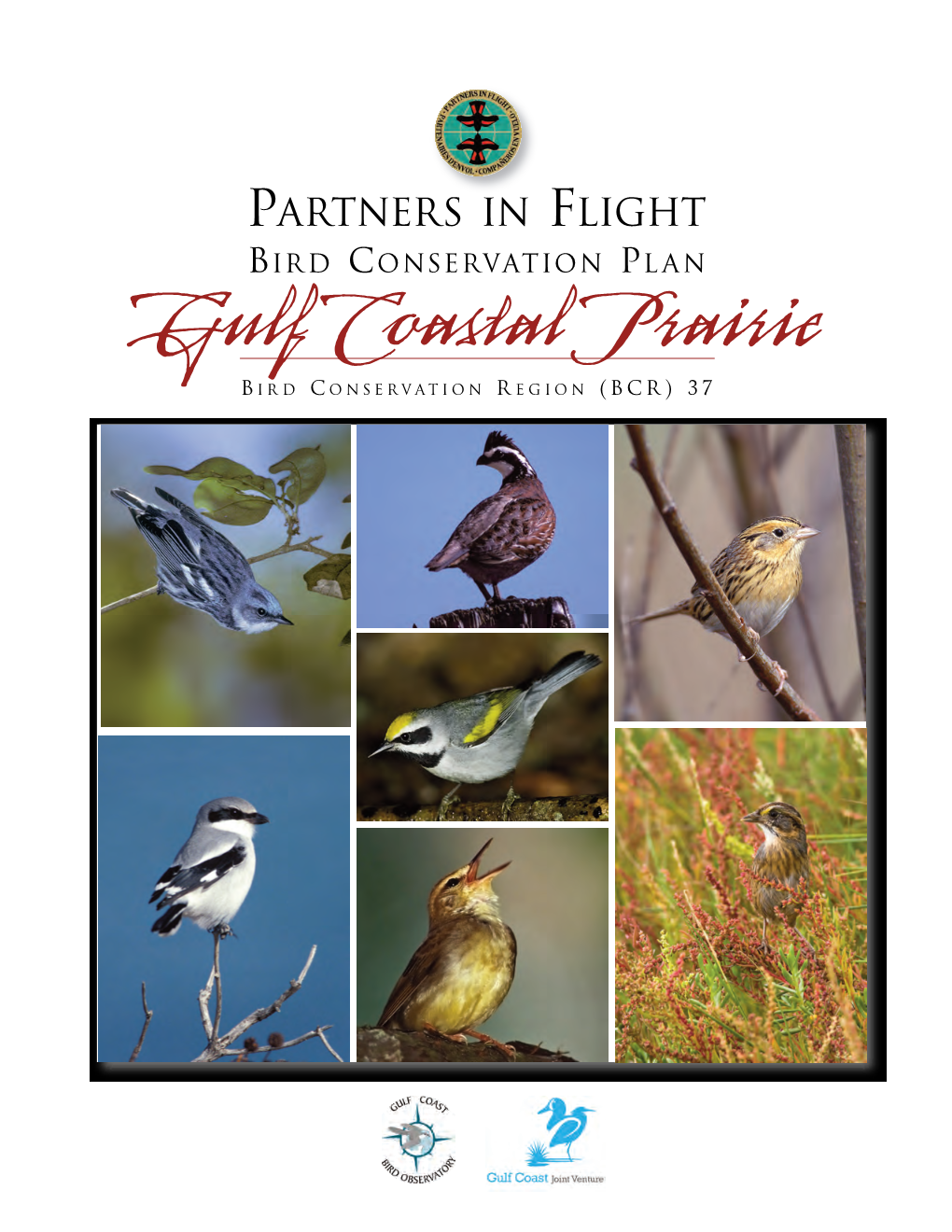 Gulf Coastal Prairie B IRD C ONSERVATION R EGION (BCR) 37 PARTNERS in FLIGHT LANDBIRD CONSERVATION PLAN