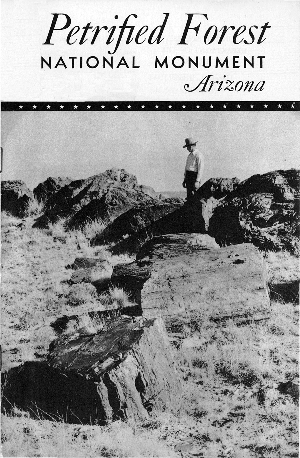 Petrified Forest NATIONAL MONUMENT ^Arizona UNITED STATES Historic Events Petrified DEPARTMENT of the 1539 First Exploration of the Southwest by INTERIOR Coronado