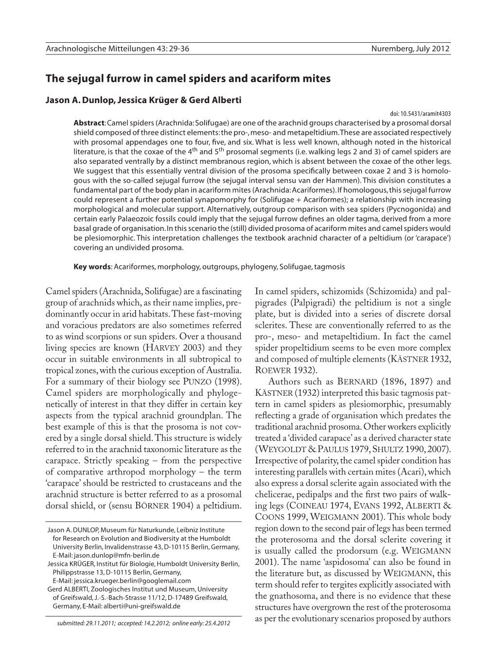 The Sejugal Furrow in Camel Spiders and Acariform Mites