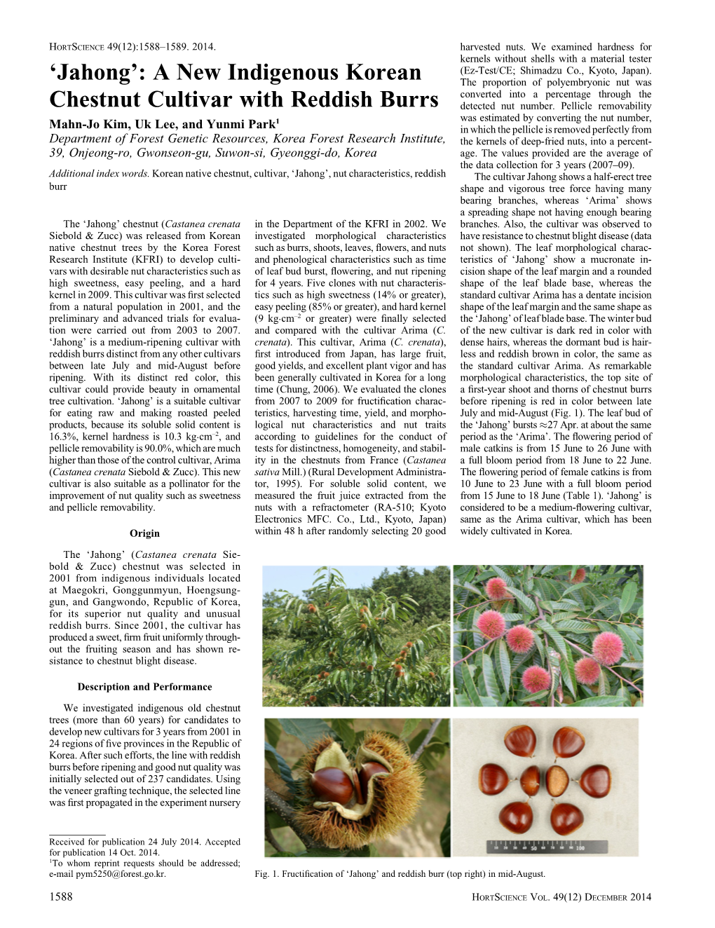 'Jahong': a New Indigenous Korean Chestnut Cultivar with Reddish Burrs