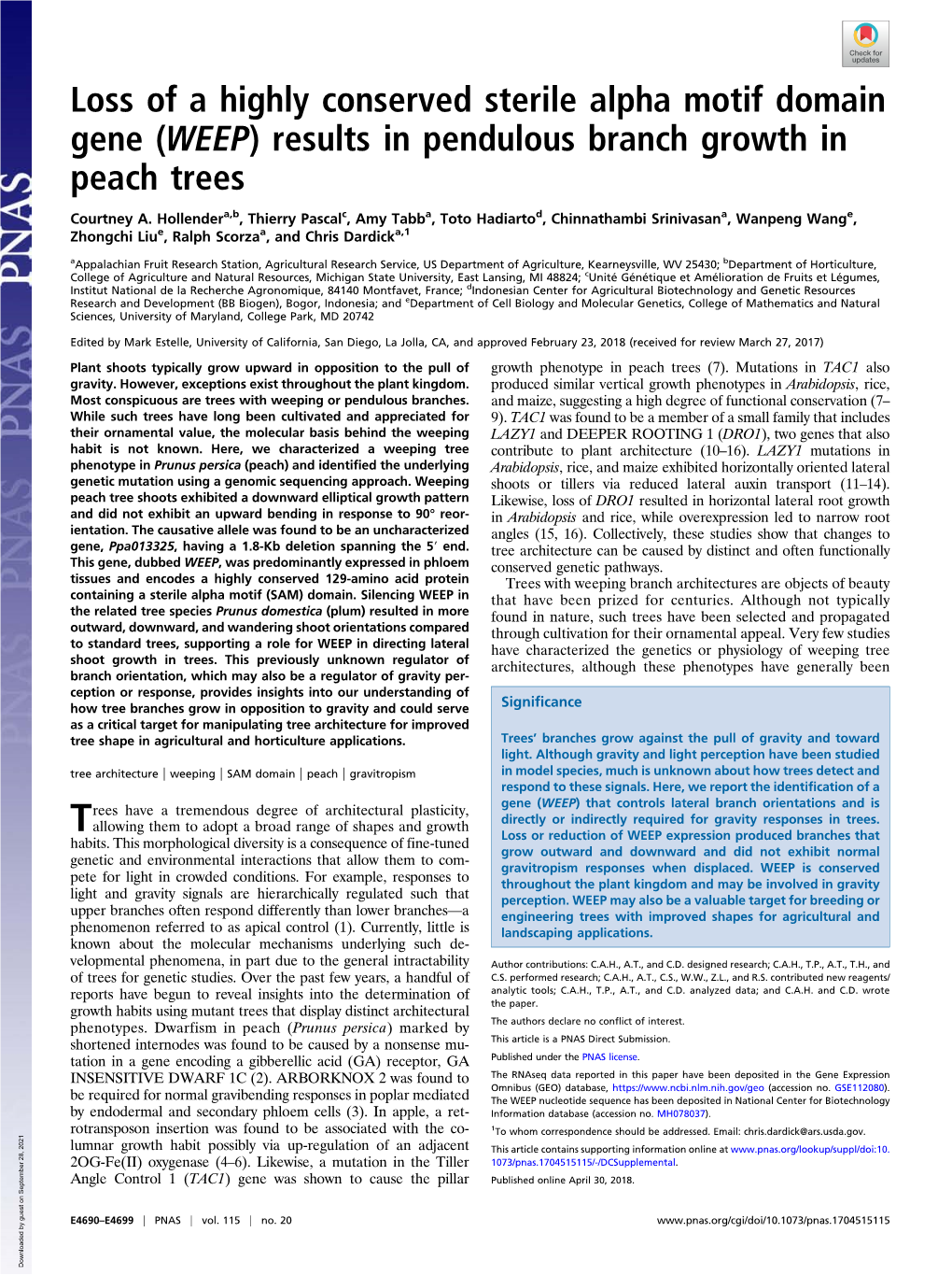 WEEP) Results in Pendulous Branch Growth in Peach Trees