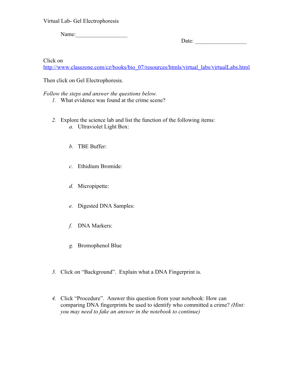 WOW Biolab- Gel Electrophoresis s1