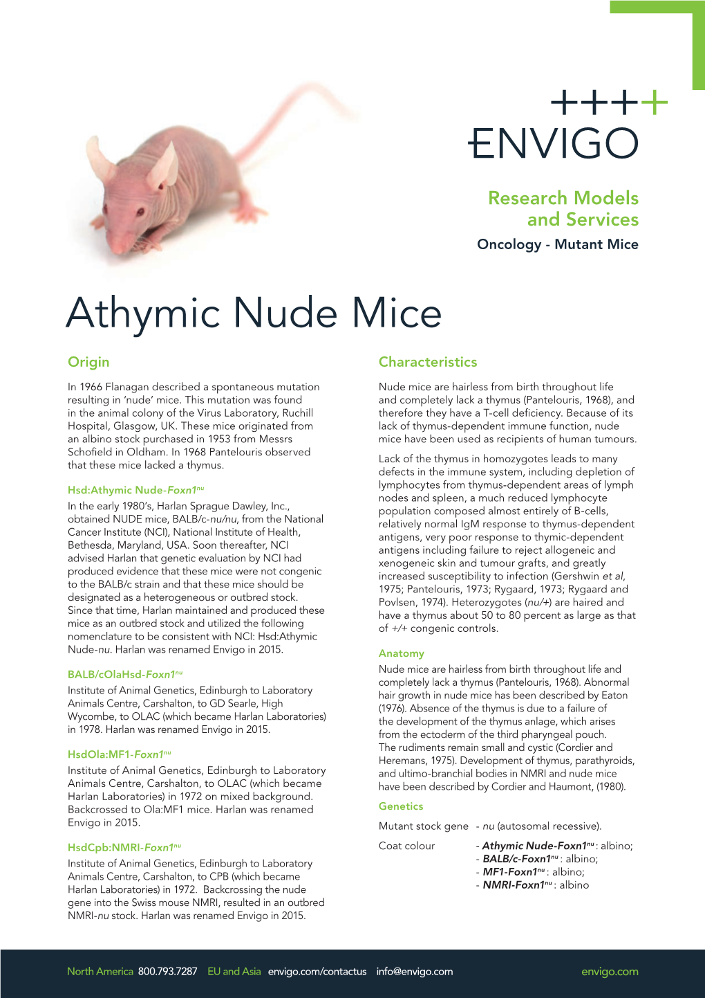 Athymic Nude Mice