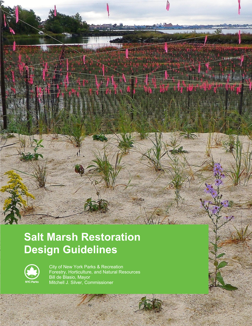 NYC Parks Salt Marsh Restoration Design Guidelines