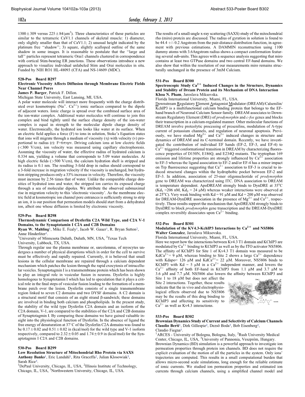 Brownian Dynamics Study of Current and Selectivity of Calcium Channels