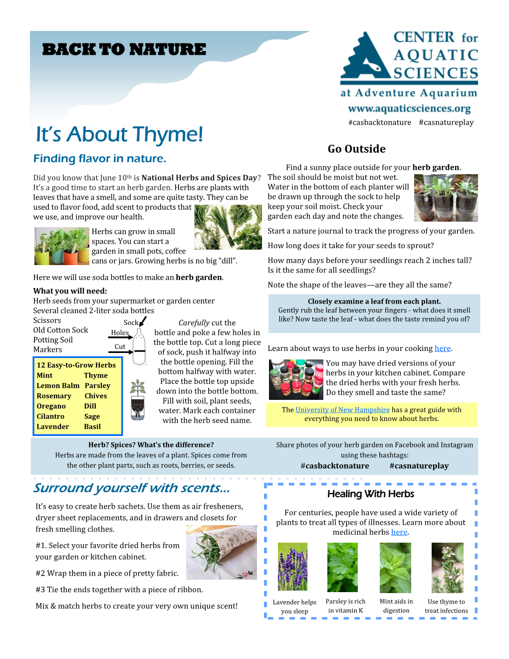 It's About Thyme!