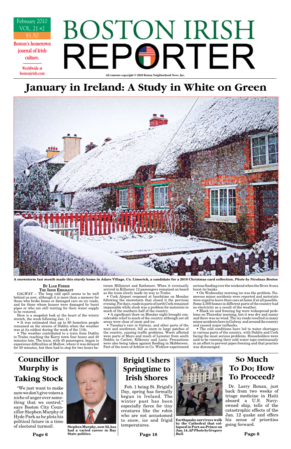 January in Ireland: a Study in White on Green