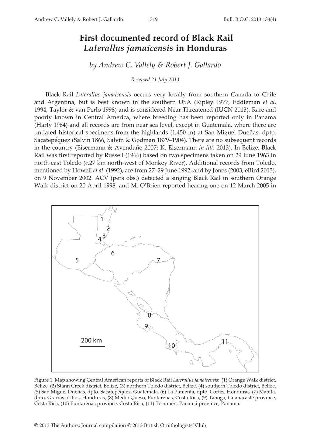 First Documented Record of Black Rail Laterallus Jamaicensis in Honduras