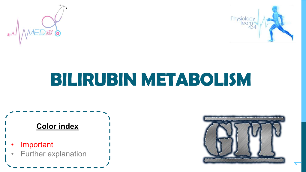 Bilirubin Metabolism