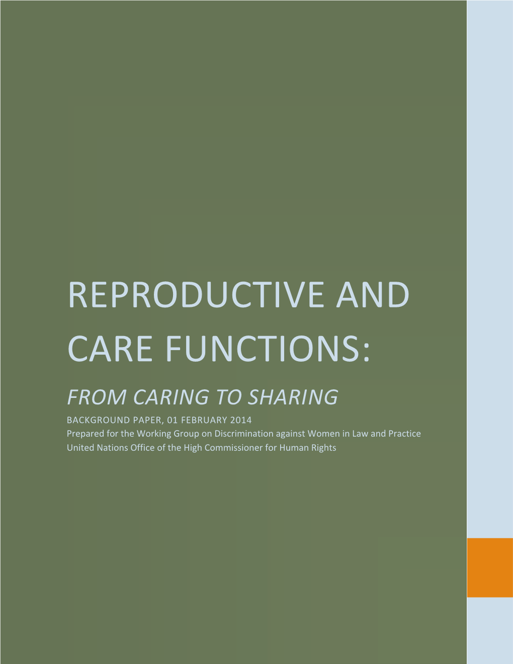 Reproductive and Care Functions Background Paper, 01 February 2014