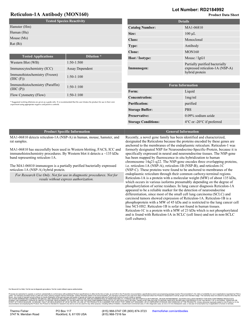 Reticulon-1A Antibody