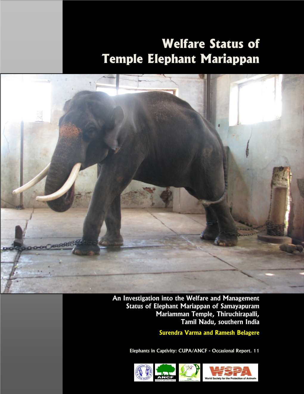 Welfare Status of Temple Elephant Mariappan