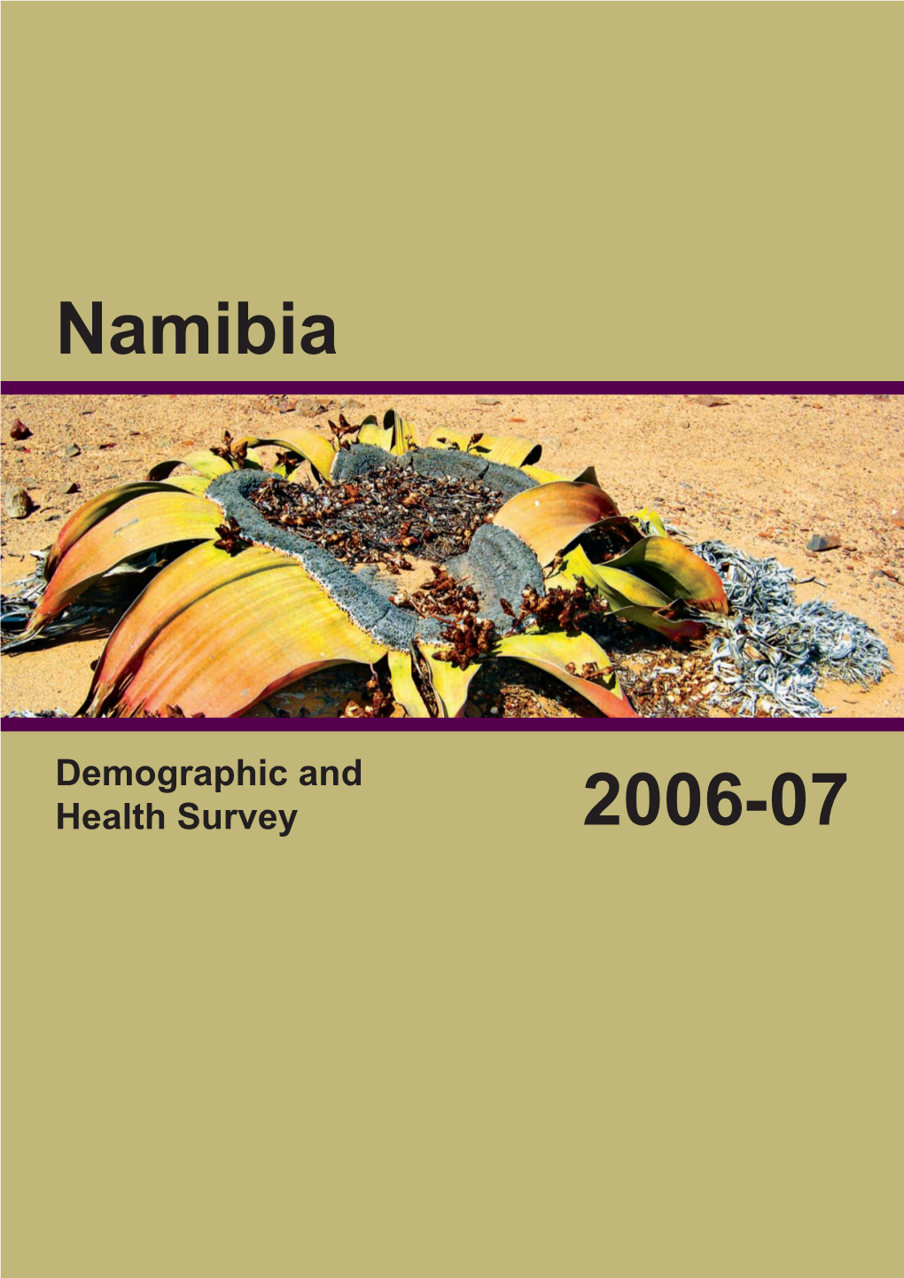 Namibia Demographic and Health Survey 2006-07 [FR204]