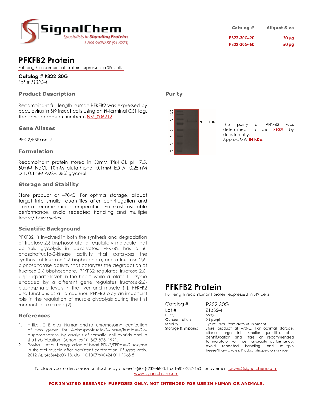 PFKFB2 Protein Full Length Recombinant Protein Expressed in Sf9 Cells