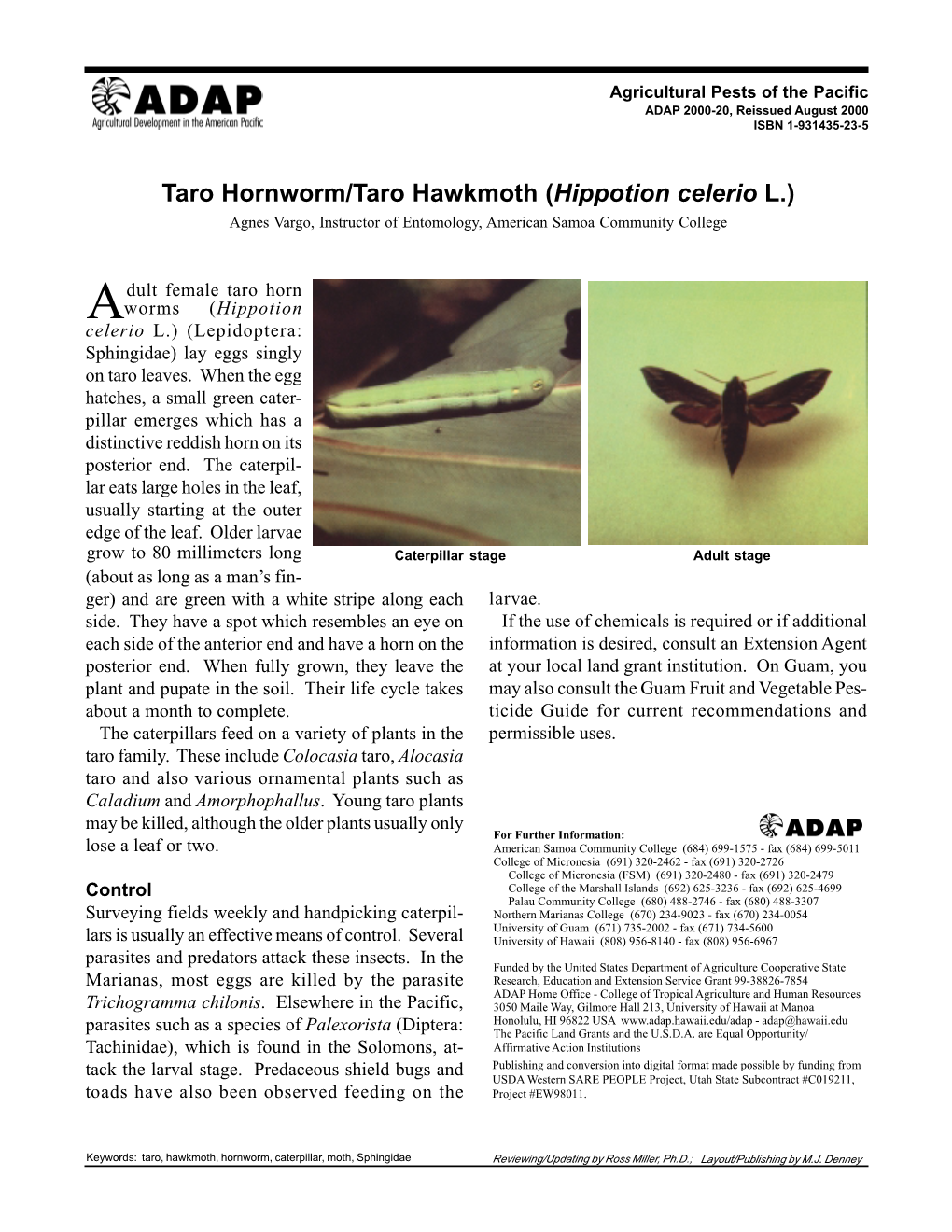Taro Hornworm/Taro Hawkmoth (Hippotion Celerio L.) Agnes Vargo, Instructor of Entomology, American Samoa Community College